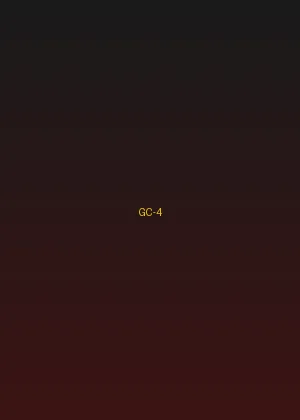 四虎 - 龙虎门海报